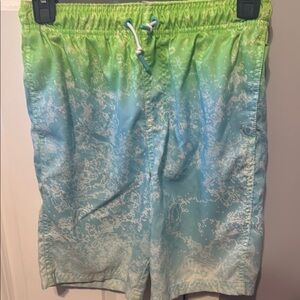 Cat & Jack Green and Blue Swim Trunks